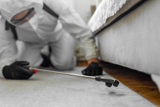 Professional Bed Bug Control technician working in Kure Beach, NC