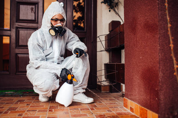 Reliable Bed Bug Control contractor in Kure Beach, NC by Nex Pest Control