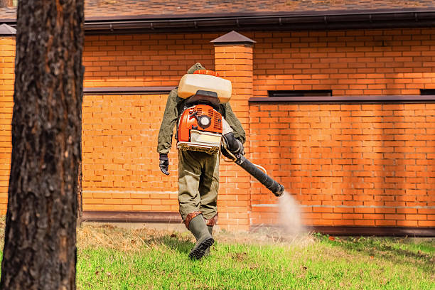 Trusted Rodent Control service in Kure Beach, NC - Nex Pest Control